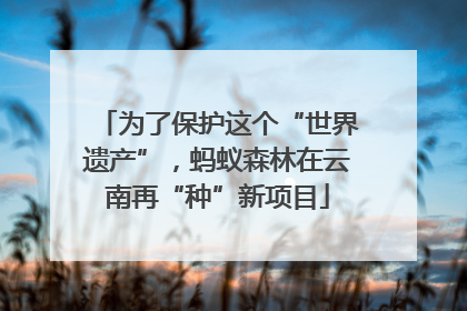 为了保护这个“世界遗产”，蚂蚁森林在云南再“种”新项目