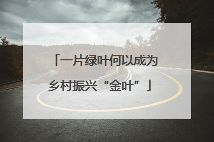 一片绿叶何以成为乡村振兴“金叶”