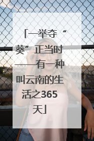 一举夺“葵”正当时——有一种叫云南的生活之365天