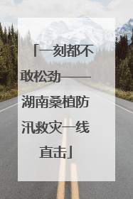 一刻都不敢松劲——湖南桑植防汛救灾一线直击