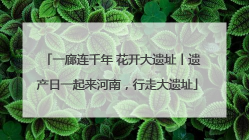 一廊连千年 花开大遗址丨遗产日一起来河南，行走大遗址