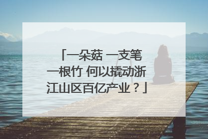 一朵菇 一支笔 一根竹 何以撬动浙江山区百亿产业？