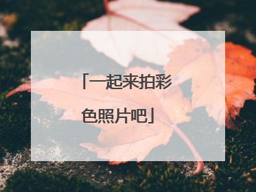 一起来拍彩色照片吧