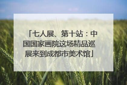 七人展、第十站：中国国家画院这场精品巡展来到成都市美术馆