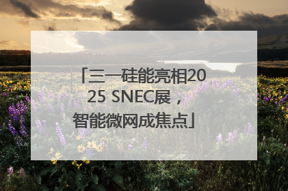 三一硅能亮相2025 SNEC展，智能微网成焦点