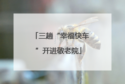 三趟“幸福快车”开进敬老院