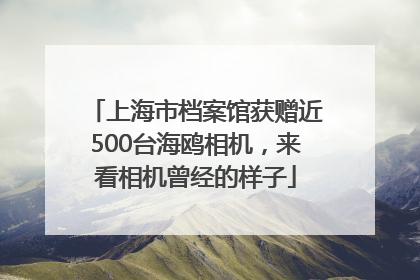 上海市档案馆获赠近500台海鸥相机，来看相机曾经的样子