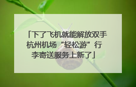 下了飞机就能解放双手 杭州机场“轻松游”行李寄送服务上新了