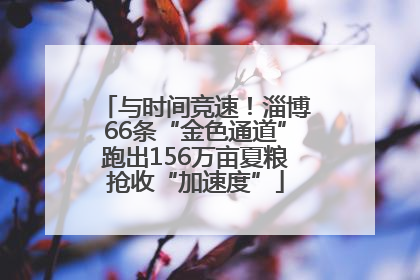 与时间竞速！淄博66条“金色通道”跑出156万亩夏粮抢收“加速度”