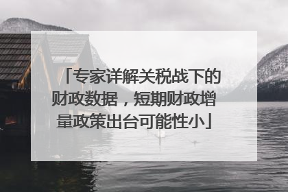 专家详解关税战下的财政数据，短期财政增量政策出台可能性小