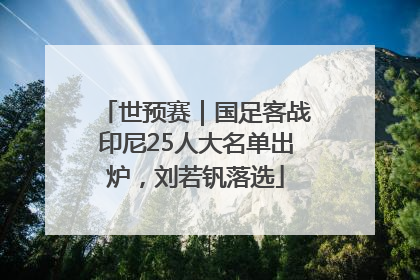世预赛｜国足客战印尼25人大名单出炉，刘若钒落选