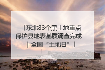 东北83个黑土地重点保护县地表基质调查完成｜全国“土地日”