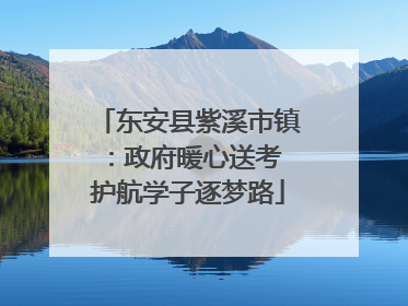 东安县紫溪市镇：政府暖心送考 护航学子逐梦路