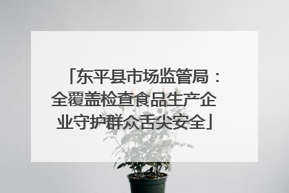 东平县市场监管局：全覆盖检查食品生产企业守护群众舌尖安全