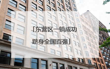 东营区一镇成功跻身全国百强