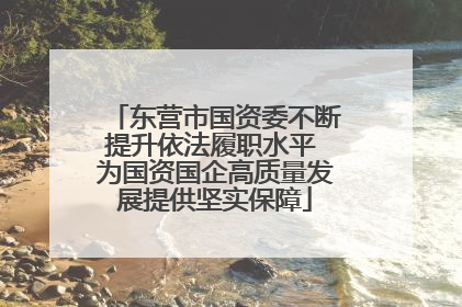 东营市国资委不断提升依法履职水平 为国资国企高质量发展提供坚实保障