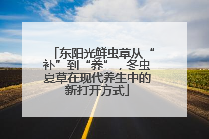 东阳光鲜虫草从“补”到“养”，冬虫夏草在现代养生中的新打开方式