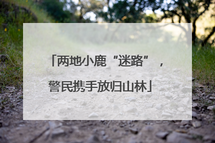 两地小鹿“迷路”，警民携手放归山林