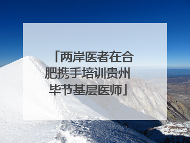 两岸医者在合肥携手培训贵州毕节基层医师