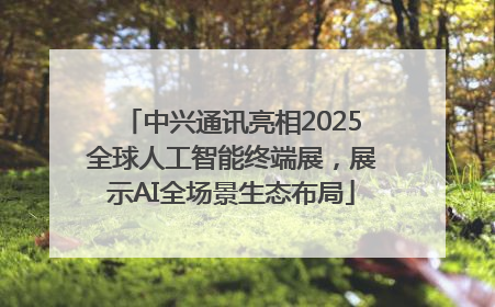 中兴通讯亮相2025全球人工智能终端展，展示AI全场景生态布局