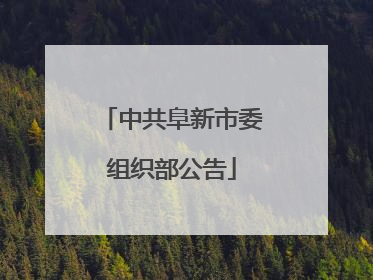 中共阜新市委组织部公告