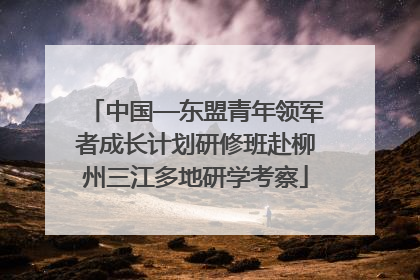 中国—东盟青年领军者成长计划研修班赴柳州三江多地研学考察