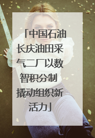 中国石油长庆油田采气二厂以数智积分制 撬动组织新活力