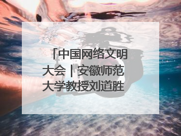 中国网络文明大会｜安徽师范大学教授刘道胜：“E”览徽风，构筑中华民族共有精神家园