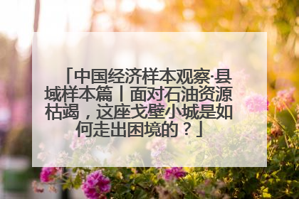 中国经济样本观察·县域样本篇丨面对石油资源枯竭，这座戈壁小城是如何走出困境的？