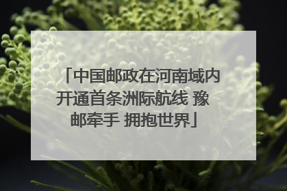 中国邮政在河南域内开通首条洲际航线 豫邮牵手 拥抱世界