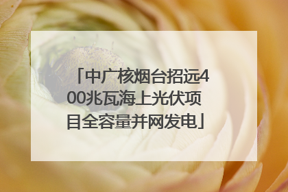 中广核烟台招远400兆瓦海上光伏项目全容量并网发电