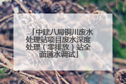 中建八局铜川废水处理站项目废水深度处理（零排放）站全面通水调试