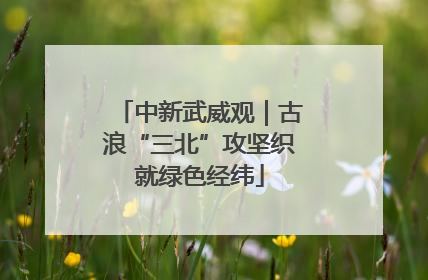 中新武威观｜古浪“三北”攻坚织就绿色经纬