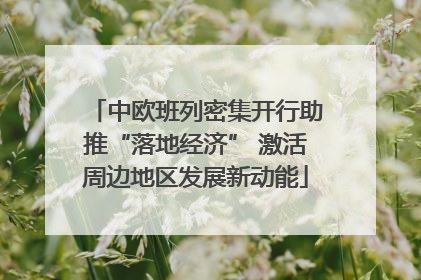 中欧班列密集开行助推“落地经济” 激活周边地区发展新动能