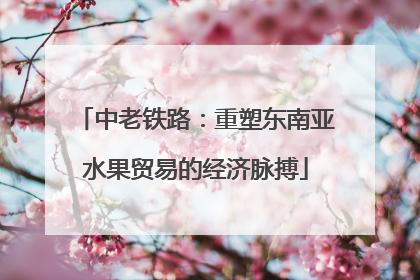 中老铁路：重塑东南亚水果贸易的经济脉搏