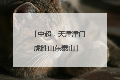 中超：天津津门虎胜山东泰山