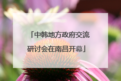 中韩地方政府交流研讨会在南昌开幕