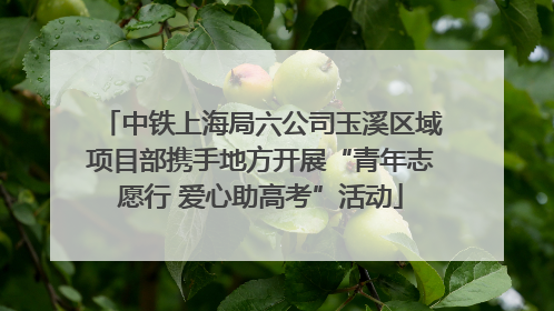 中铁上海局六公司玉溪区域项目部携手地方开展“青年志愿行 爱心助高考”活动