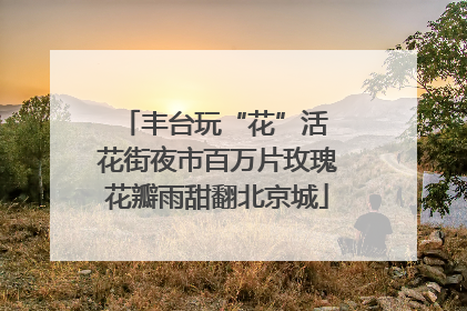 丰台玩“花”活 花街夜市百万片玫瑰花瓣雨甜翻北京城