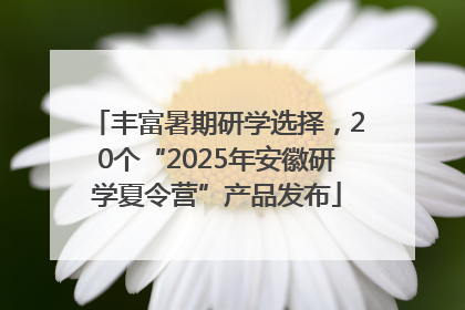丰富暑期研学选择，20个“2025年安徽研学夏令营”产品发布