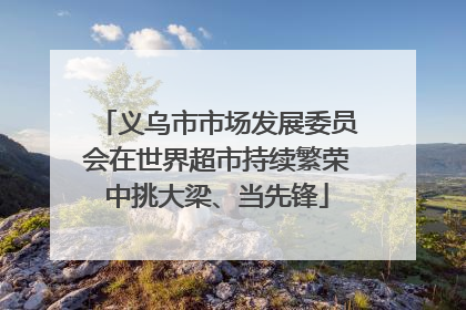 义乌市市场发展委员会在世界超市持续繁荣中挑大梁、当先锋