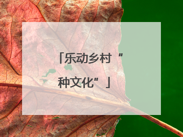 乐动乡村“种文化”