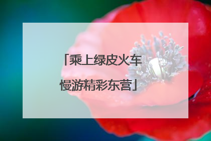 乘上绿皮火车 慢游精彩东营