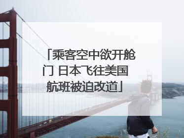 乘客空中欲开舱门 日本飞往美国航班被迫改道