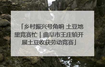 乡村振兴号角响 土豆地里竞赛忙｜曲阜市王庄镇开展土豆收获劳动竞赛