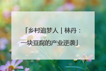 乡村追梦人｜林丹：一块豆腐的产业逆袭