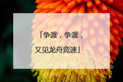 争渡，争渡，又见龙舟竞速