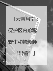 云南昌宁：保护区内珍稀野生动物频频“出镜”