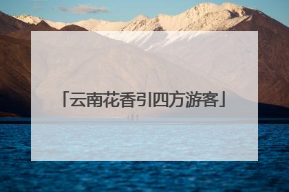 云南花香引四方游客