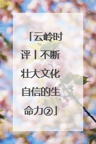 云岭时评丨不断壮大文化自信的生命力②